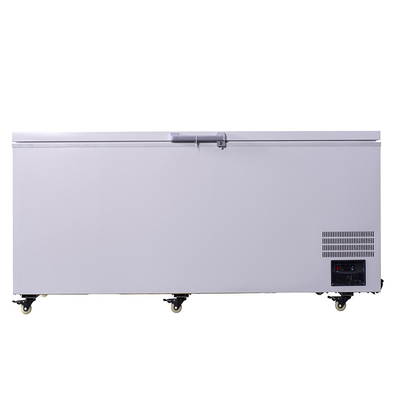 Large Capacity Low Temperature Fish Meat Frozen Report Fresh-Keeping Deep Freezer