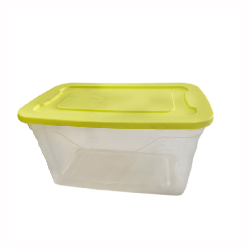 Manufacturer Supplier Plastic Storage Box Indoor Plastic Bins Toy Clothes Plant Propagation