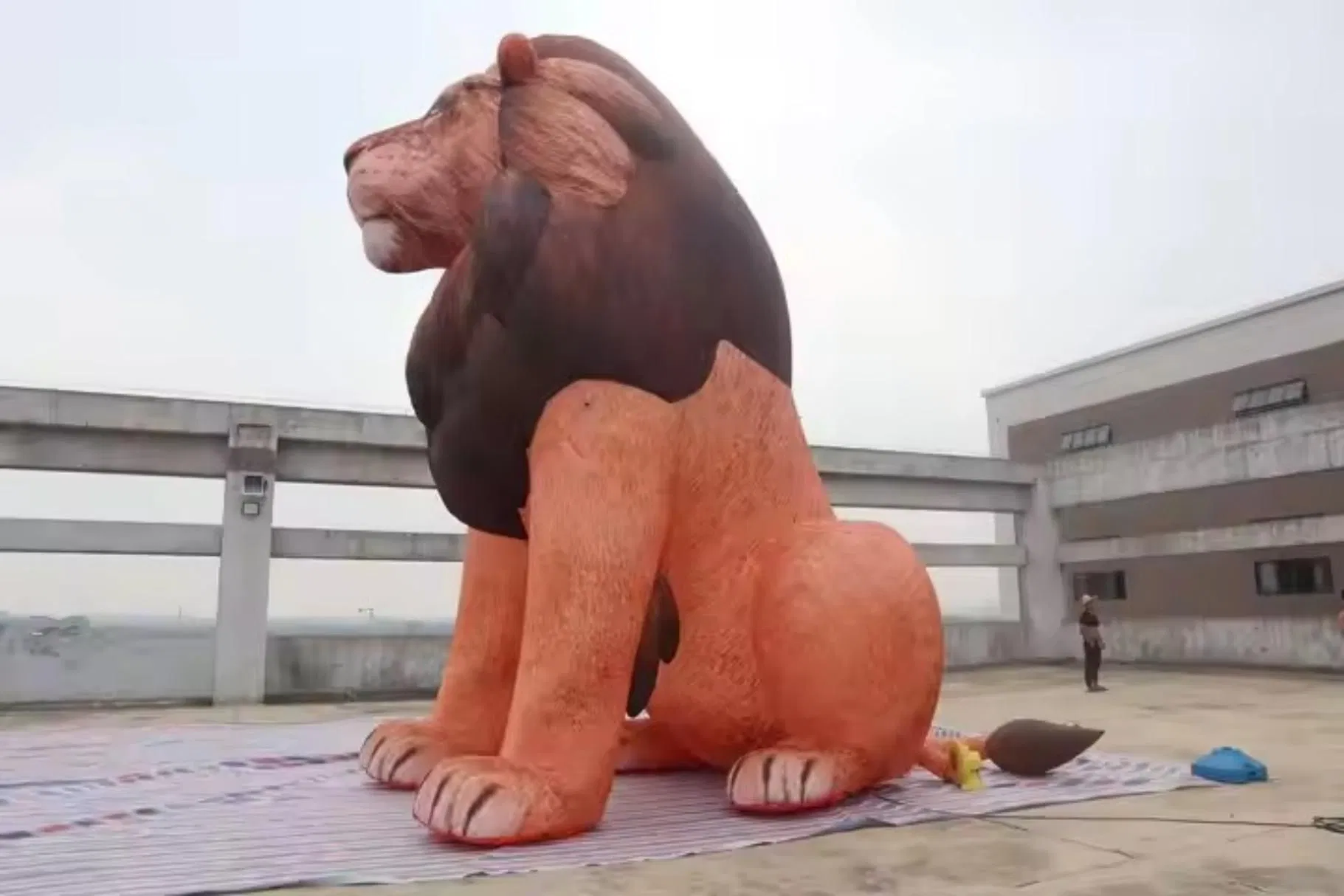 Boyi Custom Advertising Inflatables Giant Inflatable Lion Inflatable Jungle Lion