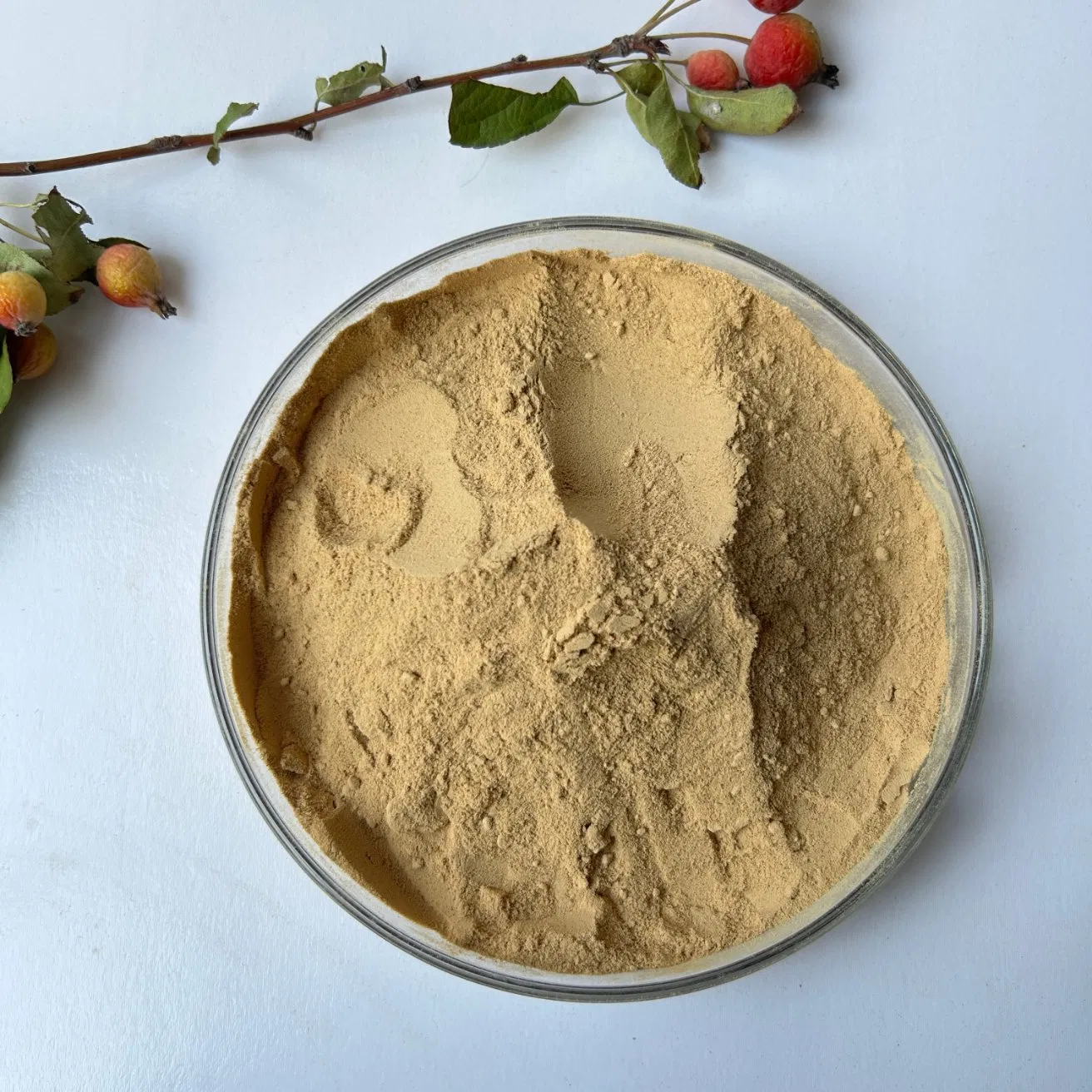 Concrete Triterpene Saponins, Cement Mortar Additives, Construction Triterpene Saponins Air-Entraining Agents