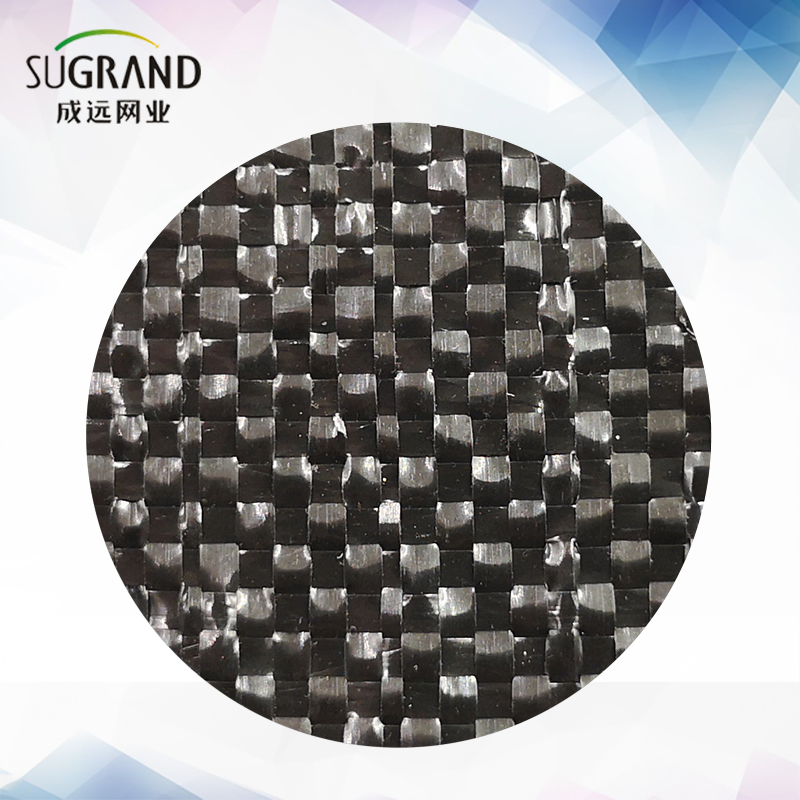 Black PP Fabric Weed Control Mat Ground Cover