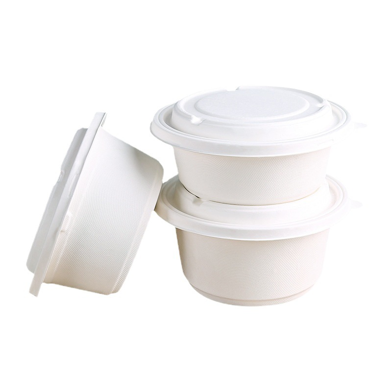 Natural Sugarcane Bagasse Pulp Salad Bowl