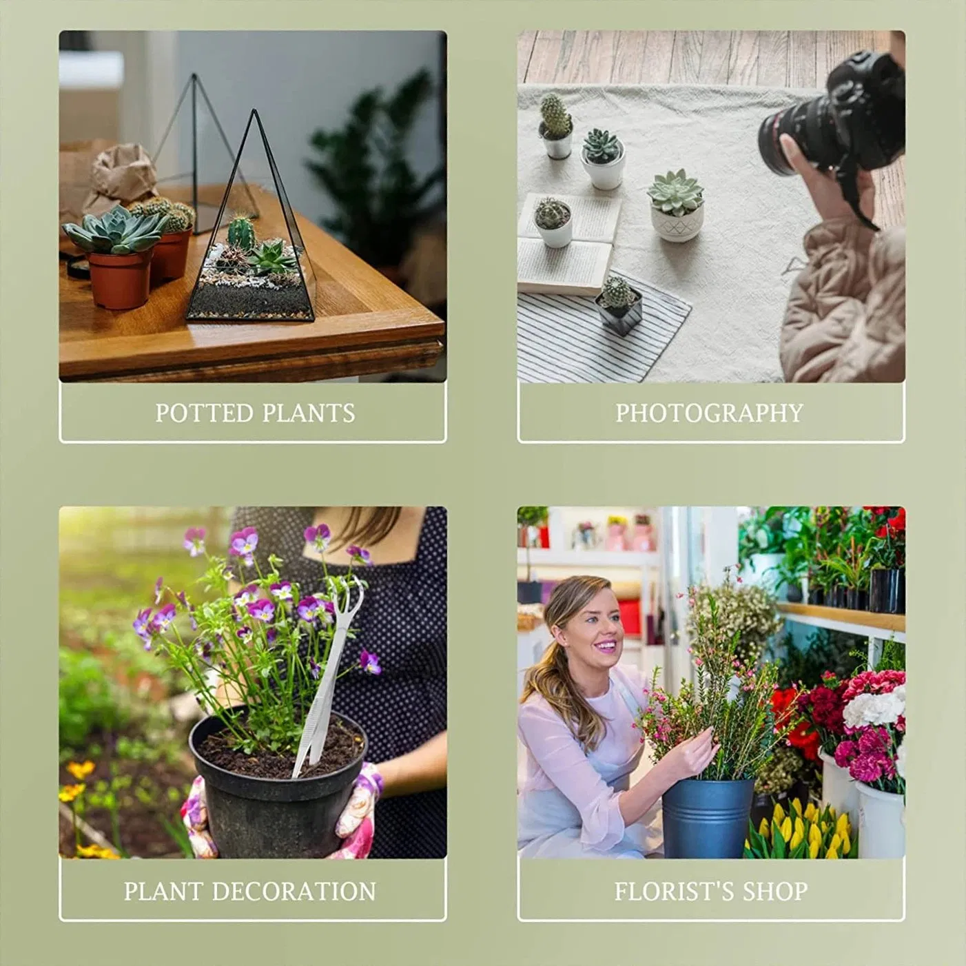 304 Stainless Steel Rake 2-in-1 Bonsai Tool with Soil Crafting with Farming Tweezers for Succulents