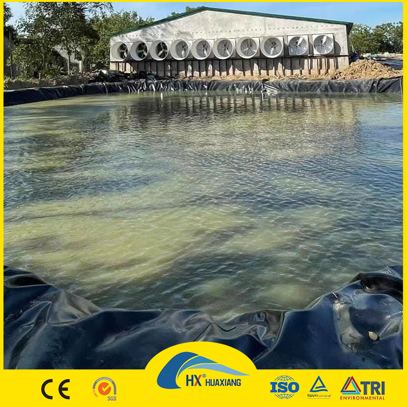 0.75mm 1mm 1.5mm 100% Virgin ASTM Anti-Seepage Waterproof Impermeable Smooth Textured HDPE LDPE LLDPE Geomembrane for Dam Pond Liner Landfill Mining Price