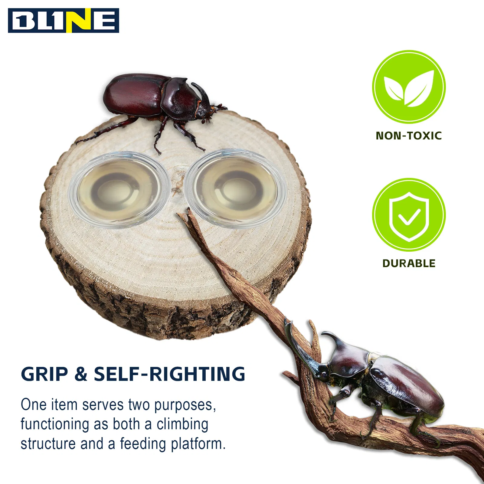 Safe Durable Wood for Insects Climbing and Hiding Resting