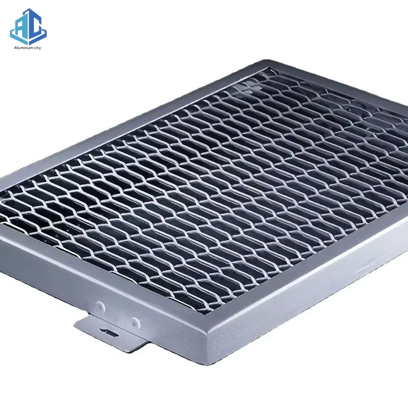 Aluminum Perforated Steel Metal Sheet Mesh Panel