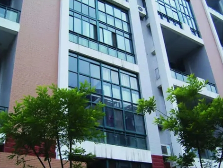 Office Building Glass Curtain Wall Engineering Solution