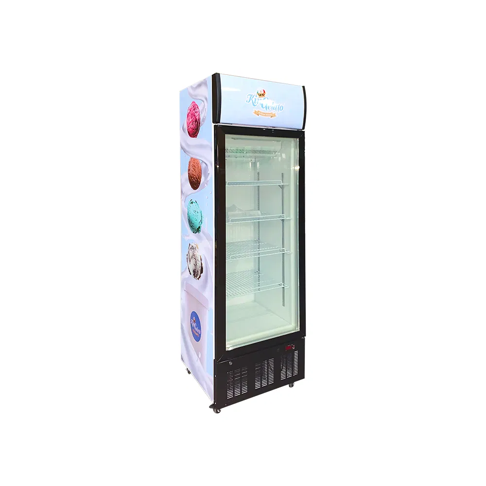 Lsd-268 Upright Freezing Showcase Display Freezer