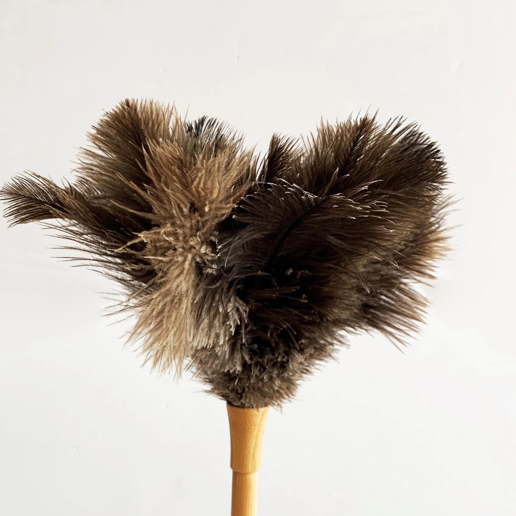 Duster with Super Soft Real Ostrich Feather and Natural Finish Brown Bamboo Handle for Home Furniture Cleaning