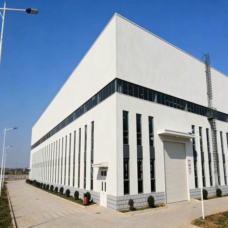 Sandwich Panel. Single Steel $Heet Food and Chemical Industry Mobile House Industrial