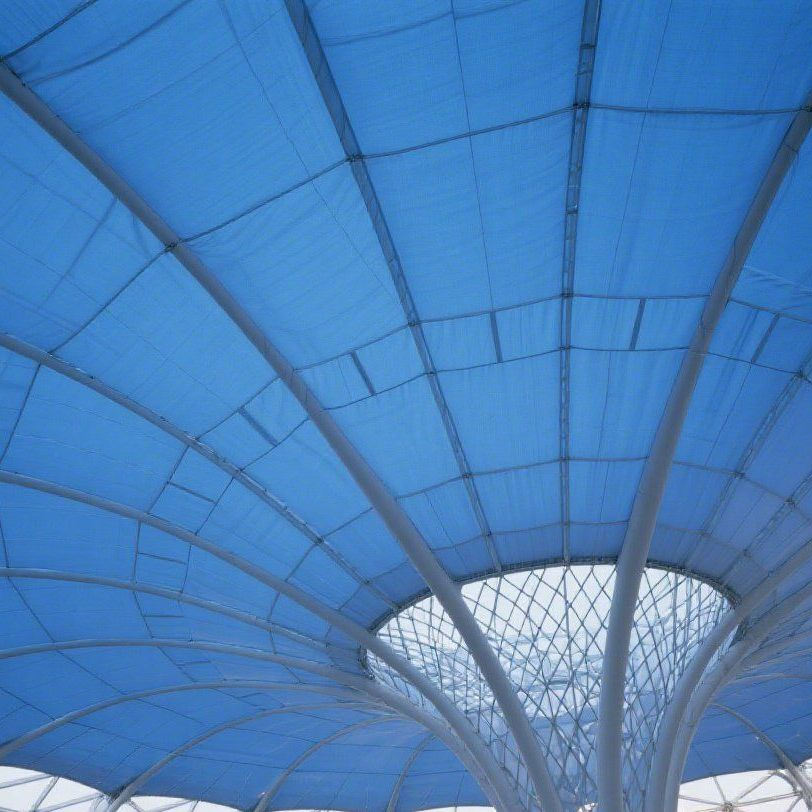 Customizable Steel Stadium Roofs for Air Domes at Competitive Prices