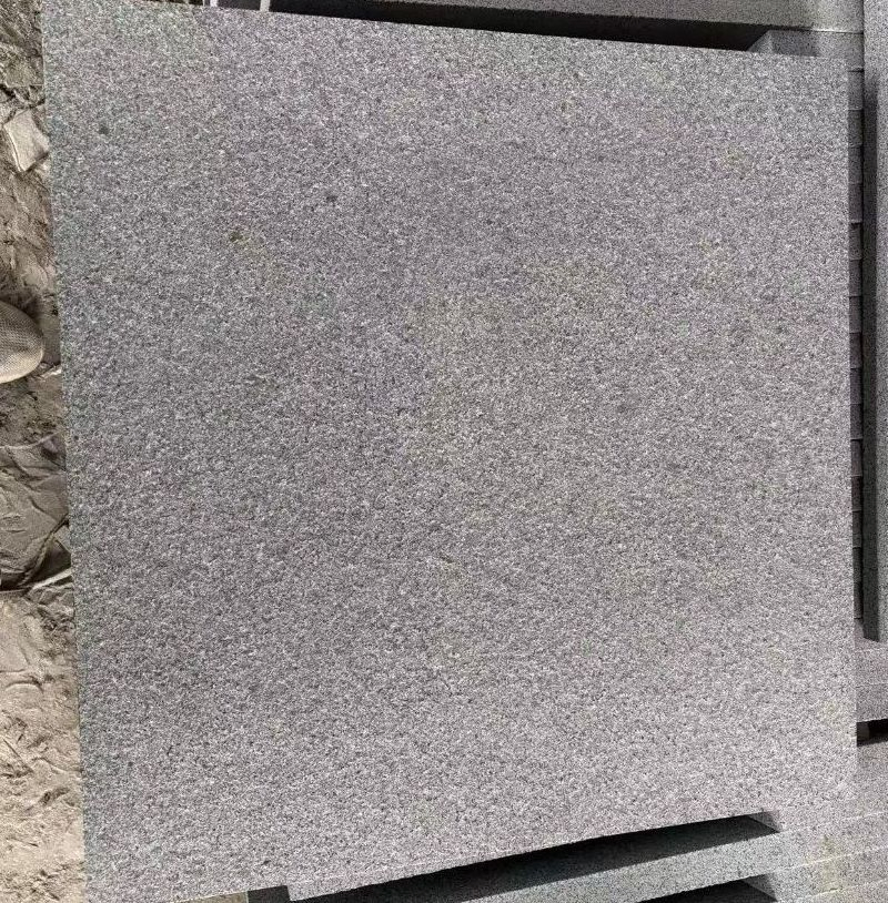 Pari Granite Original G654 Natural Stone Decoration Material 600*600*30mm for Swimming Pool Coping/Floor Tile/Wall Tile
