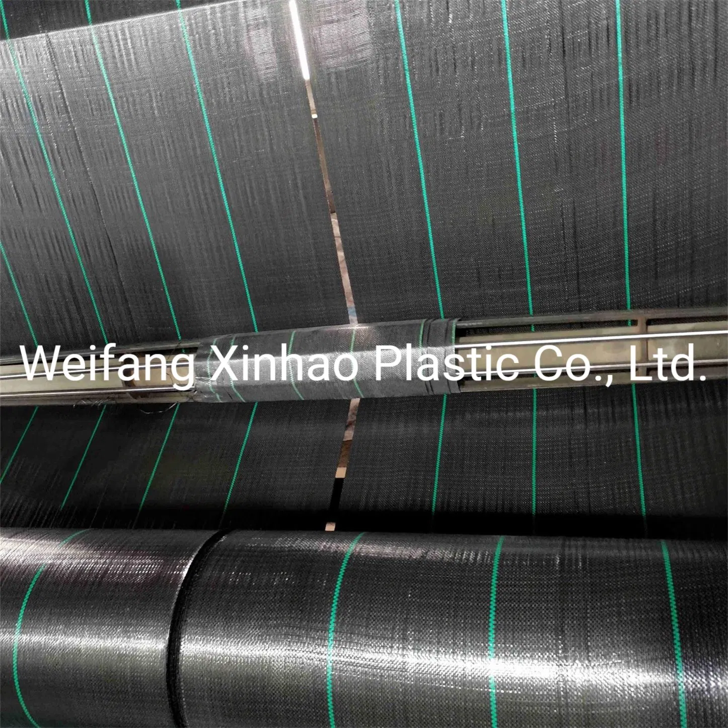 UV Treated PP Weed Mat Factory PE Weed Barrier Ground Cover Fabric
