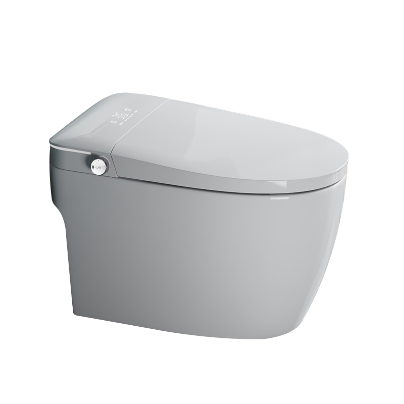 Simple Hot Selling, Fashionable Ceramic Wall Mounted Intelligent Toilet
