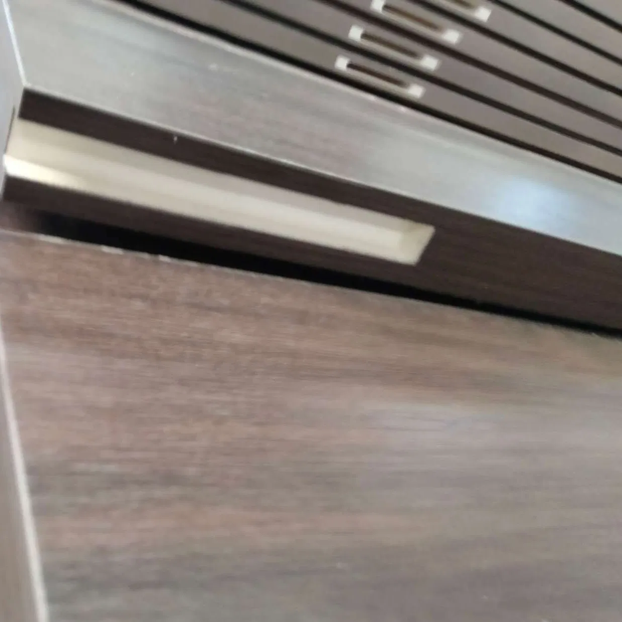 100% Waterproof Eco-Friendly WPC Door with B1 Flame Retardant