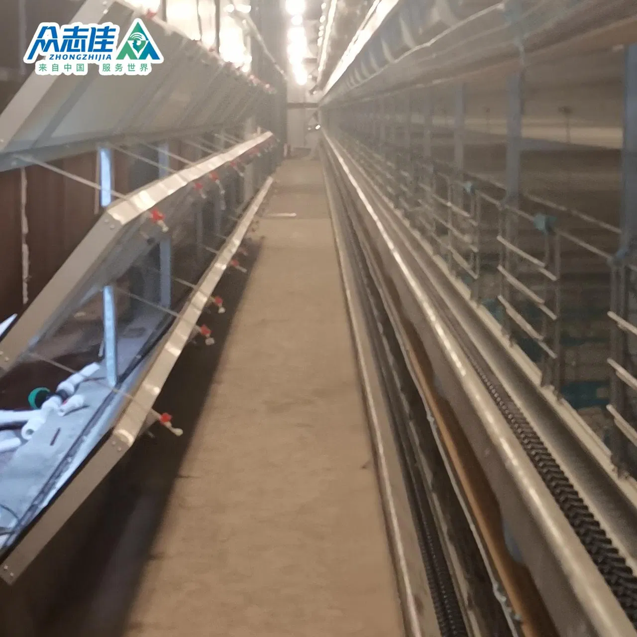 Многоярусная клеточная батарея для птицеводства H-образная