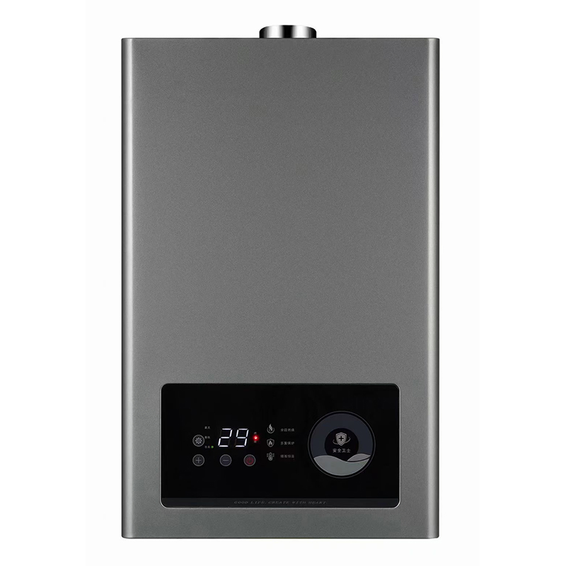 Premium Home Appliance Instant 10L 12L 14L 16L Calentador De Agua a Gas Efficient Gas Water Heater