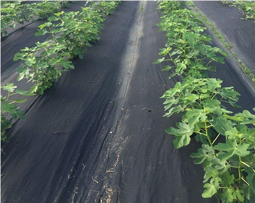 Durable Non-Woven Weed Mat for Effective Garden Ground Cover