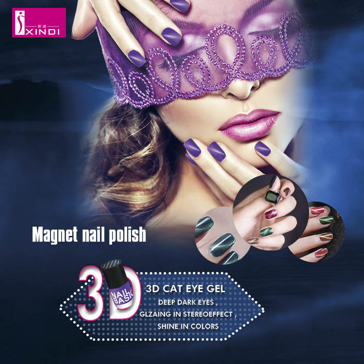 (NP564) 2020 Hot Selling Magnetic Waterproof Nail Polish Nail Varnish