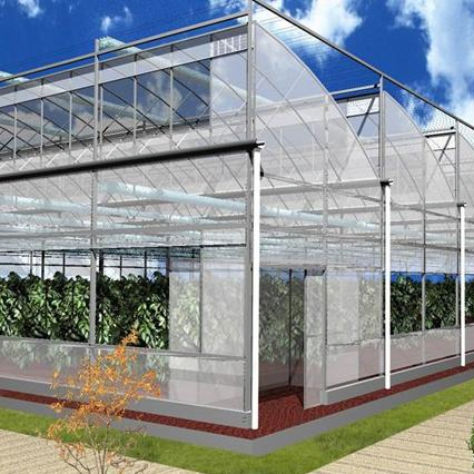 PE Po Agriculture Greenhouse for Vegetables fruit