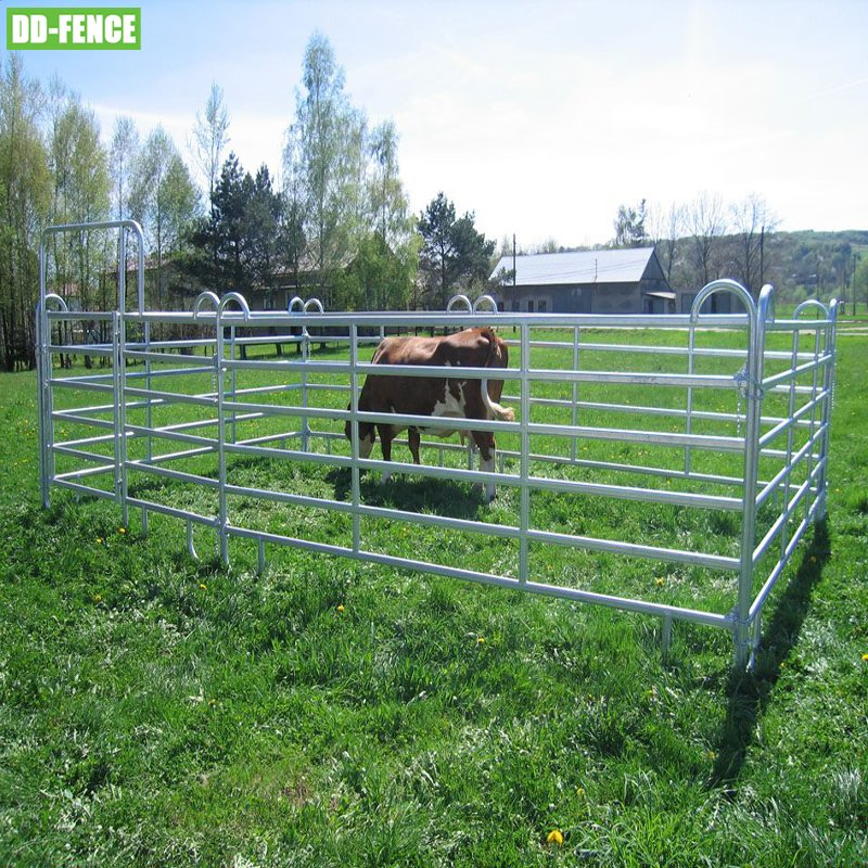 Galvanized Farm Fence Panel Cattle Barriers Cattle Panels for Sale