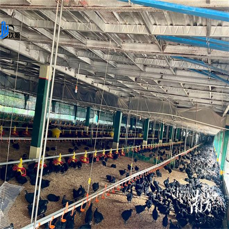Structured Construction of Chicken Farms, Prefabricated Houses for Poultry, Broiler Farming, Full-Function Chicken House Facilities and Accessories