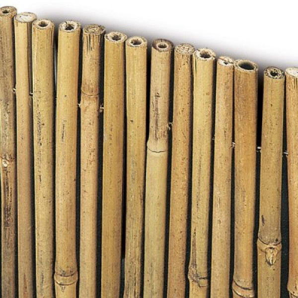 Arella River Bamboo Stick Bunch Fence Rolls Bamboo Screening All Bamboo Mat