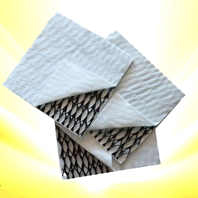 Road Construction 3D Geotextile Composites Drainage Geonet Highway Slope Protection