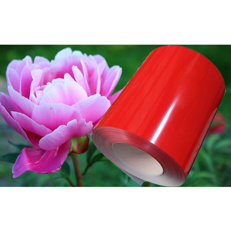 Color Coated Aluzinc Steel Coil, Superior Weathering Resistance