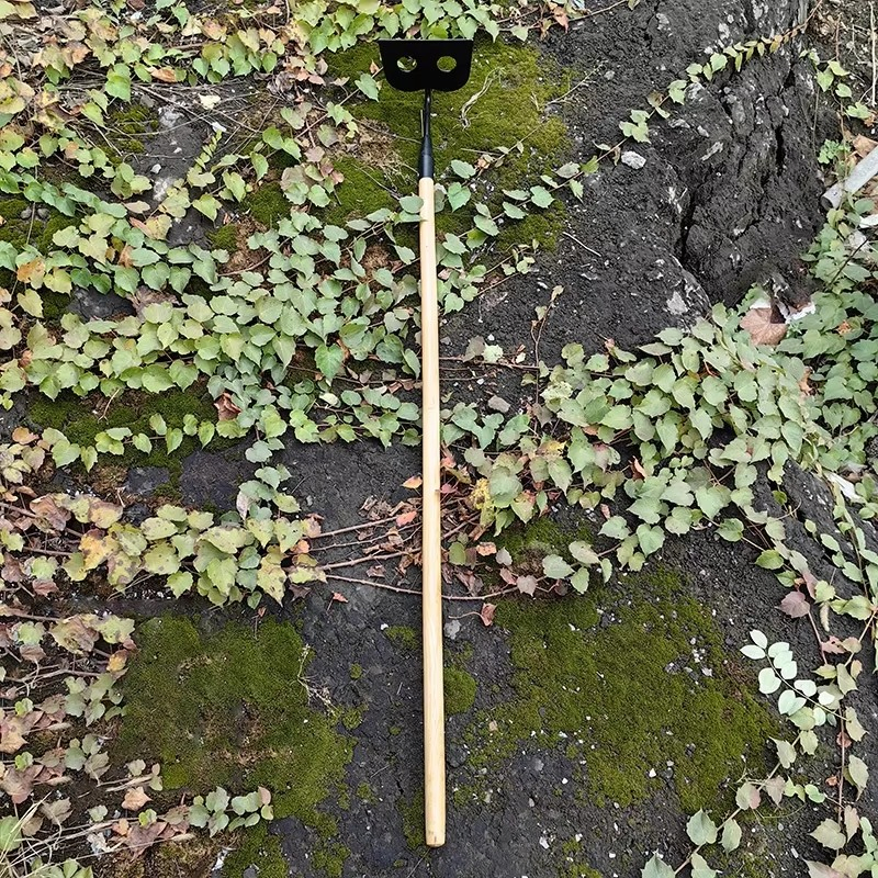 Hot Selling Steel Forged Weeding Hoe with Long Wooden Handle Farming Tools