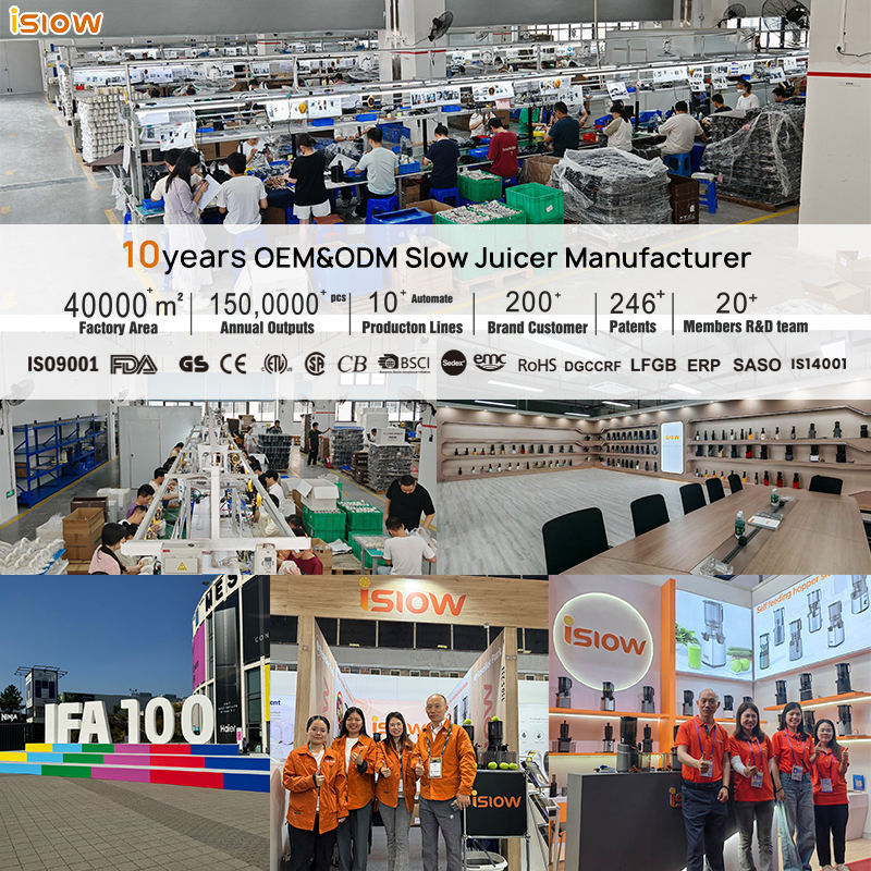 Cg-001 Professional Electric Conical Burr Coffee Grinder Adjustable Household Blade Coffee Grinder