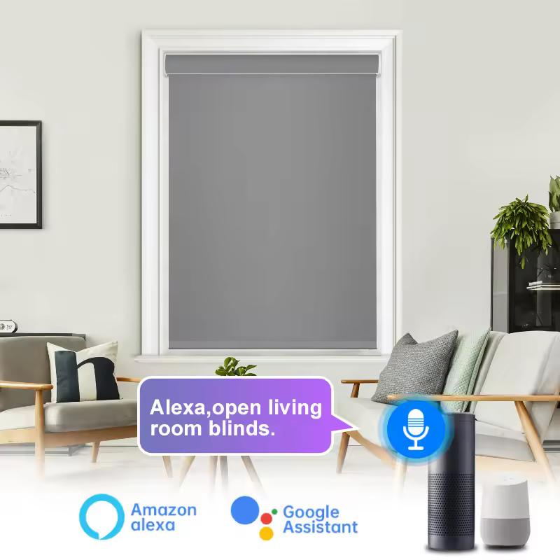 Hot Sale Electric Motorized Window Roller Blind for Office House Window
