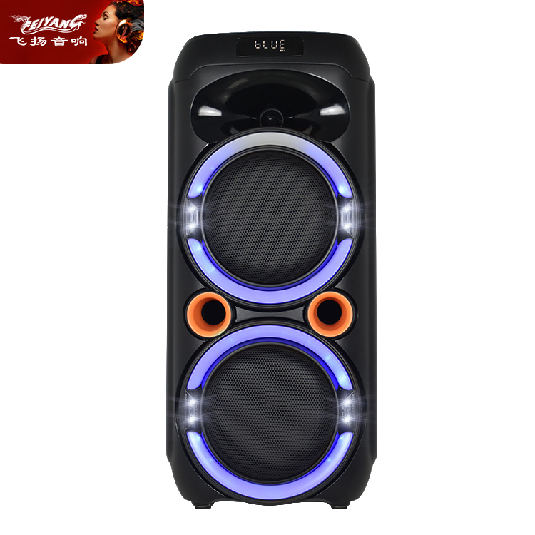 Feiyang New Dual 6.5" Promotion Portable Party Speaker Fg206-17