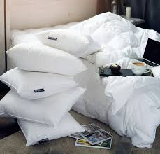 Top Selling Hotel Quality Cushion Inserts