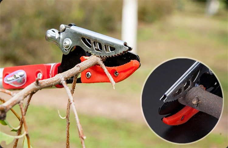 Garden Tools Metal Grape Scissors Pruning Shears with Low Price