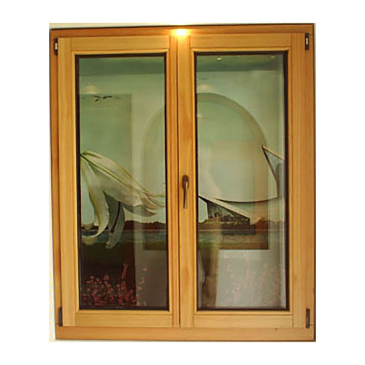  Solid Series Door and a Beautiful Windows Hurricane Impact Casement Wooden Window Latches for Wooden Storm Windows