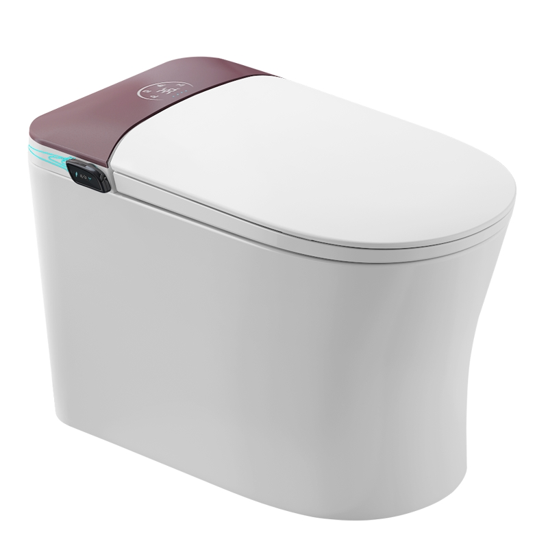 Simple, Hot Selling, Fashionable Ceramic Intelligent Toilet