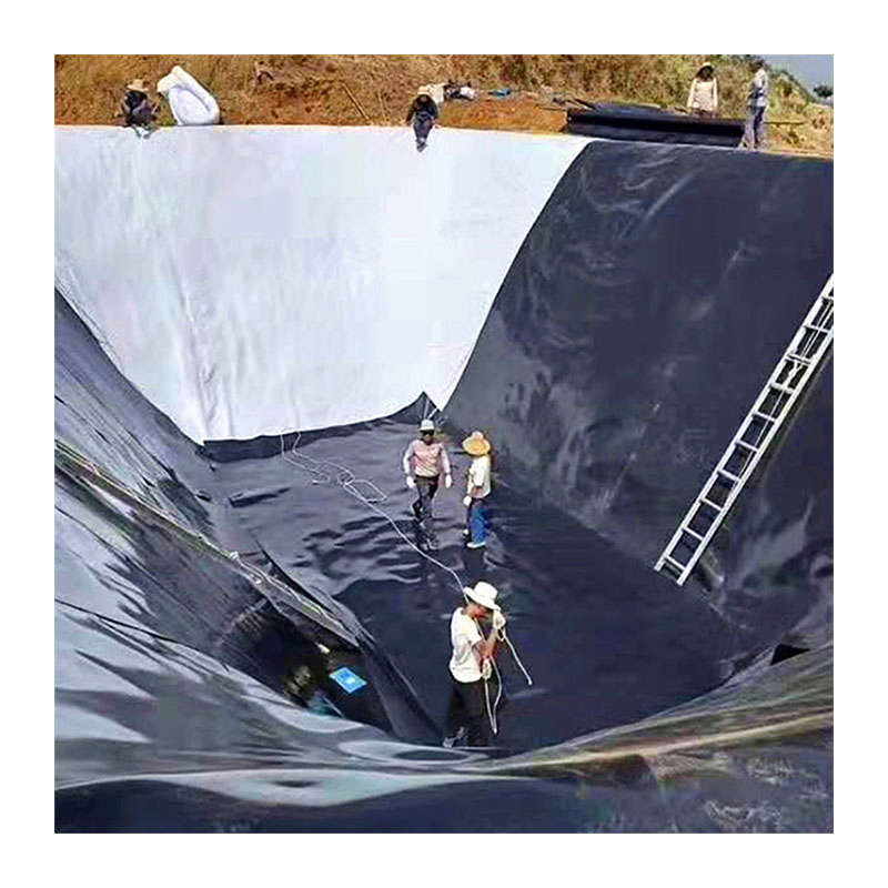1mm 1.5mm 2mm Fish Farm Pond Liner HDPE Geomembrane