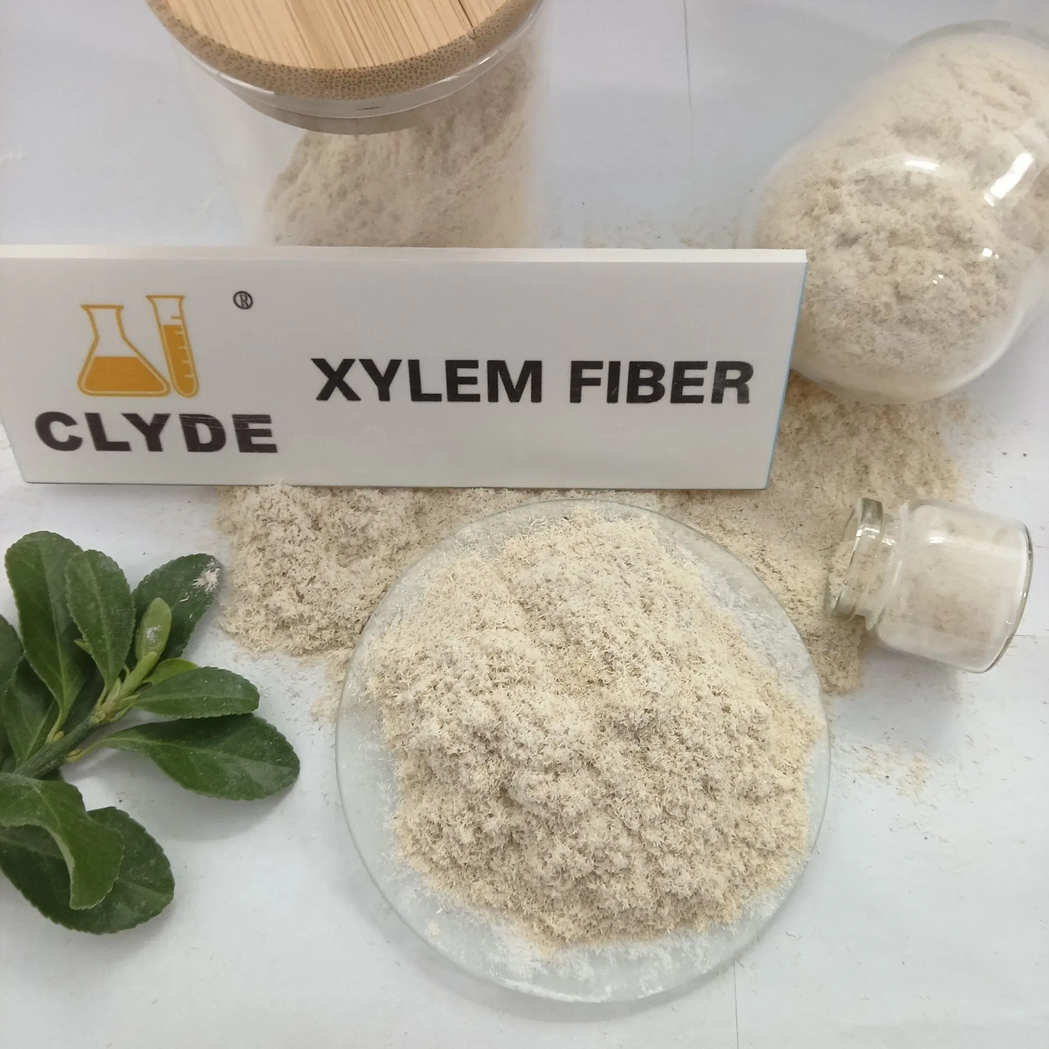 High-Quality Wood Cellulose Fiber Xylem Fiber