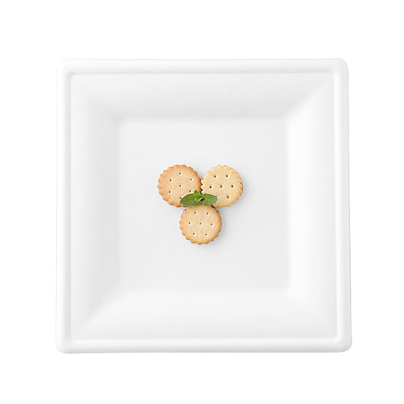 9 Inch Leakproof Compostable Disposable Sugarcane Bagasse Biodegradable Divided Paper Plates