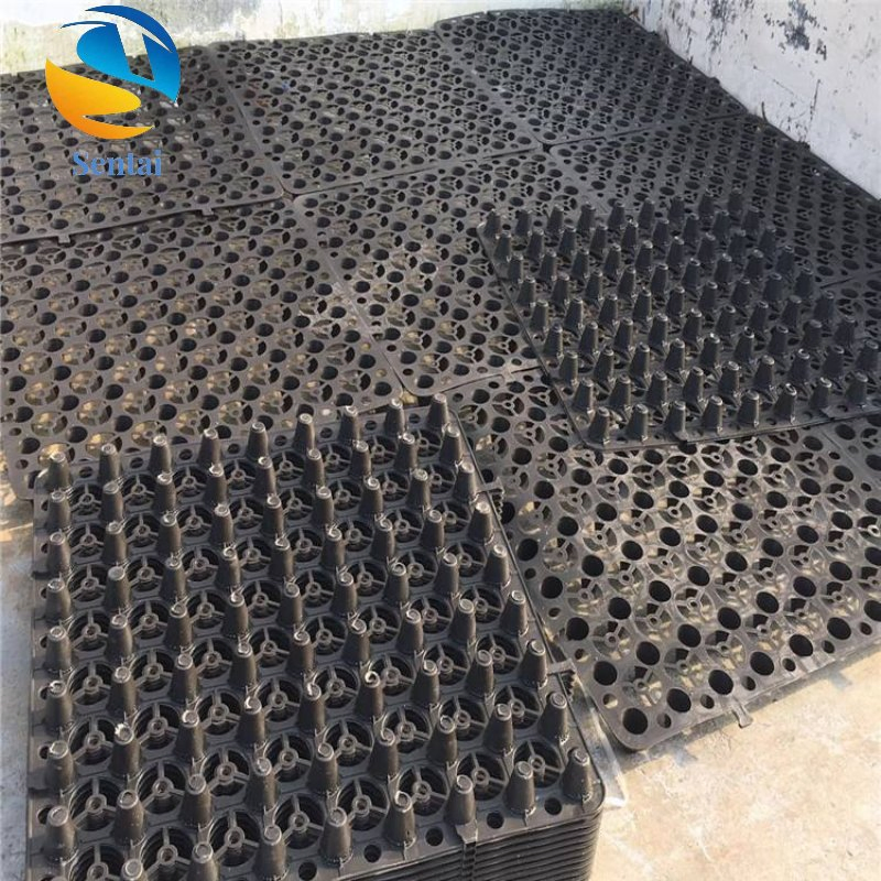 Garage Roof, Roof, Greenery, Roof, Garden, Plastic Water Storage and Drainage Board, Siphon Capillary Tunnel Concave Convex Drainage Board