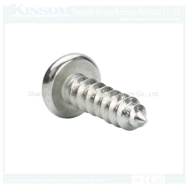 Pan Head Cross Recessed Self Tapping Screws/Metal Steel Screw/Custom Screws/Stainless Steel Screw