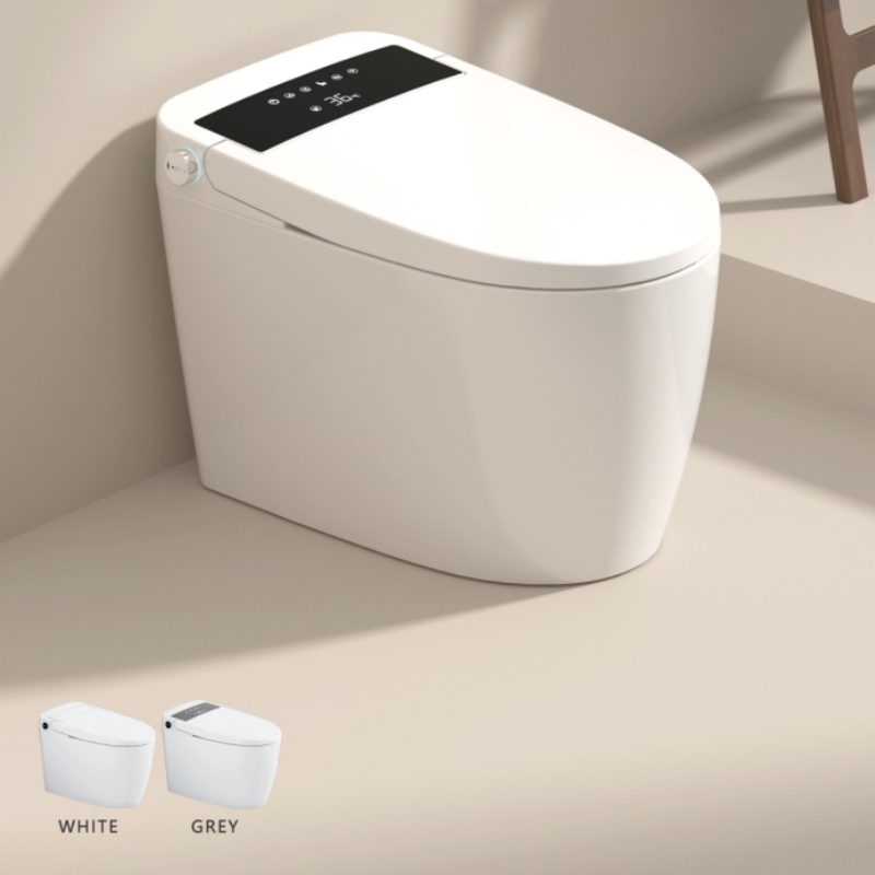 Very Simple, Popular and Fashionable Ceramic Intelligent Toilet