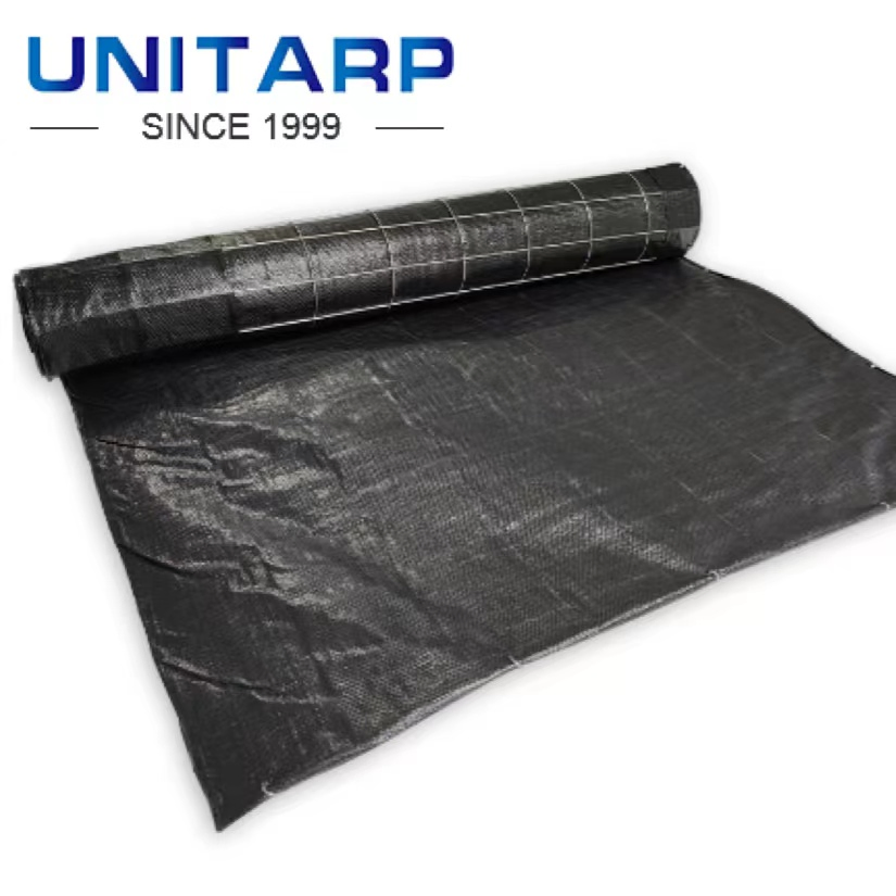 High Quality Black Polyethylene (PE) Pond Liner Geotextile for Agriculture