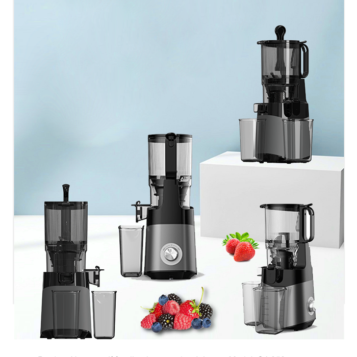 Sj-059 Hot Sale 100% Full Inspection Portable Multifunctional Slow Juicer