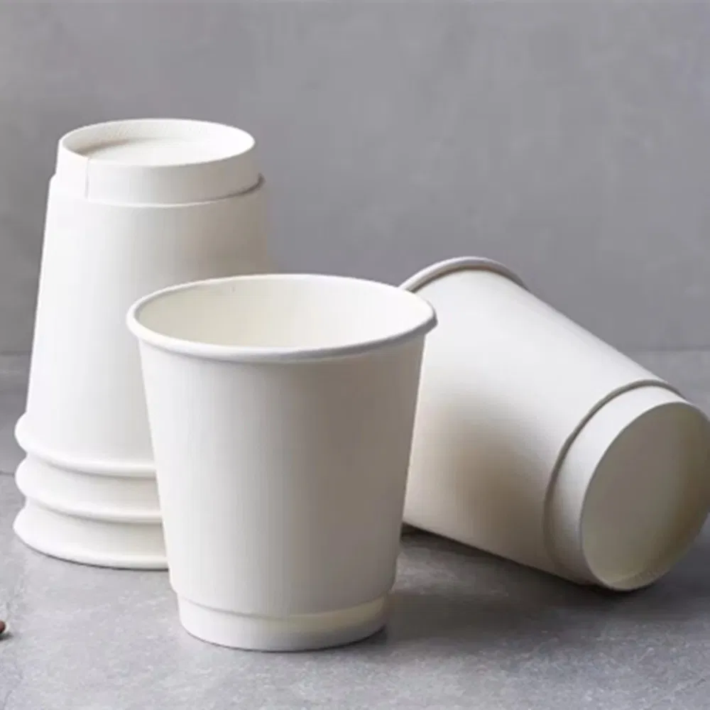 Biodegradable Sugar Cane Cups for Green and Eco-Friendly Events