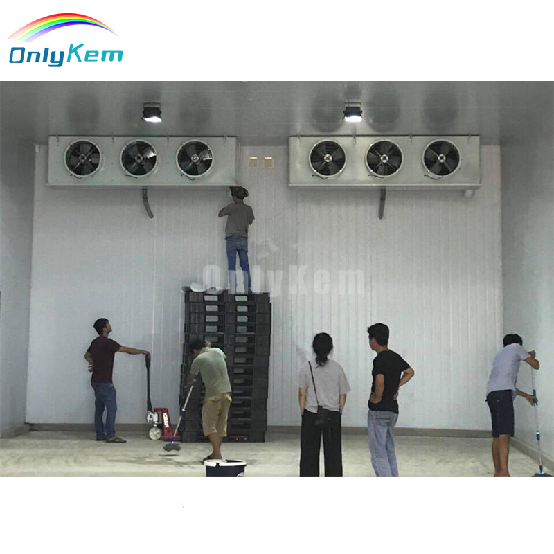 Cold Room Panel Cold Chamber Walk in Freezer for Meat