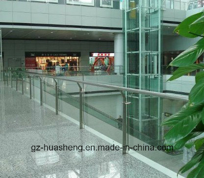 Outdoor Handrail Stainless Steel Fencing (HS-006)