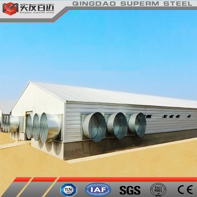 Steel Metal Frame Prefabricated Steel Structure Chicken Farm Poultry House