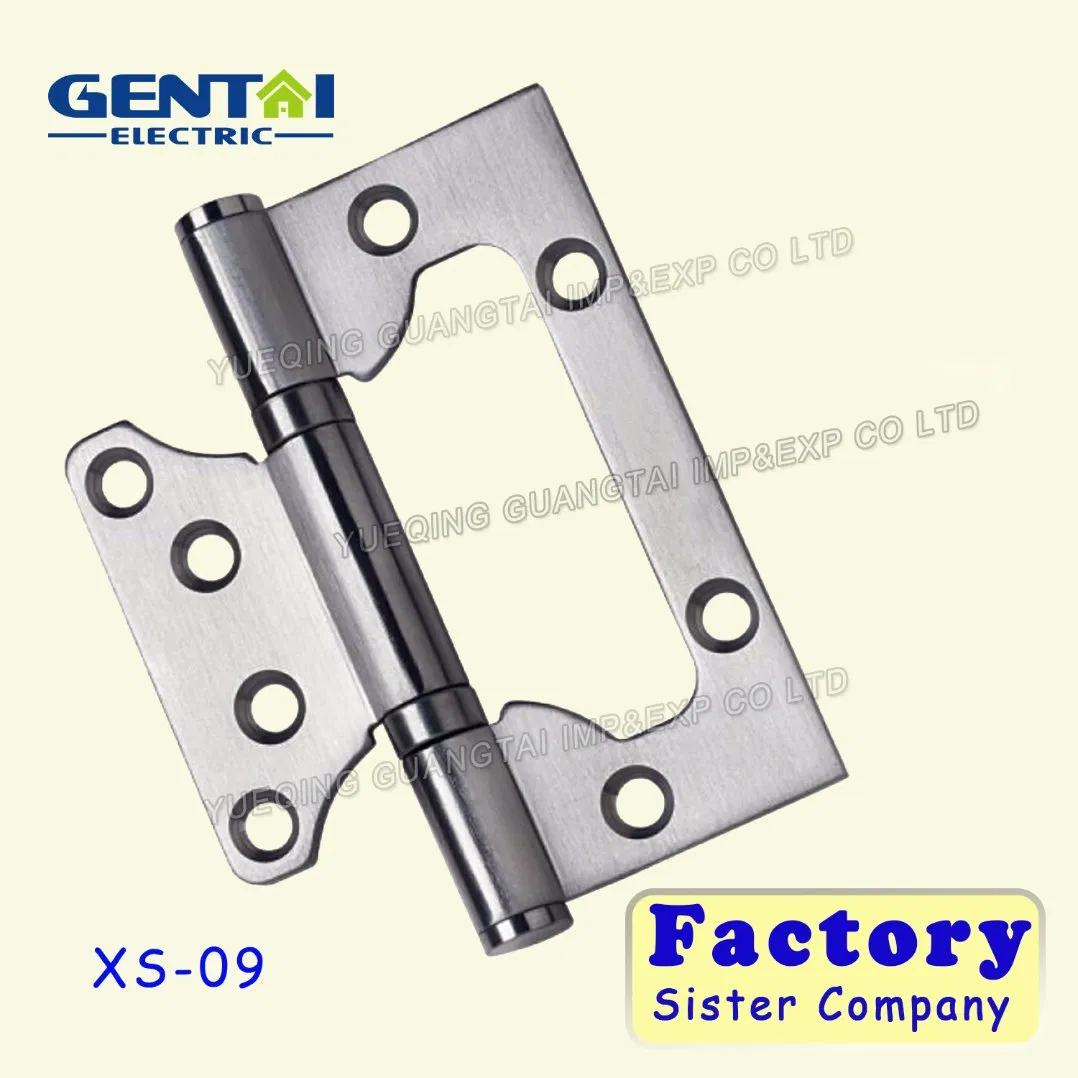 Furniture Hinge Type Stainless Steel Door Hinge Concealed